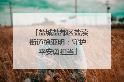 盐城盐都区盐渎街道徐亚明：守护平安勇担当